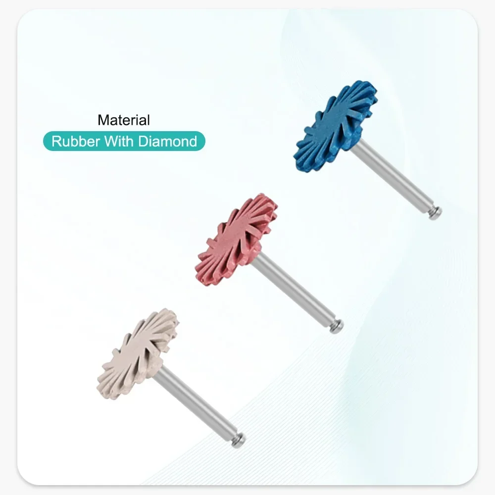 12Pcs/box Dental RA Rubber Res - đánh giá và giá Resin Art Case